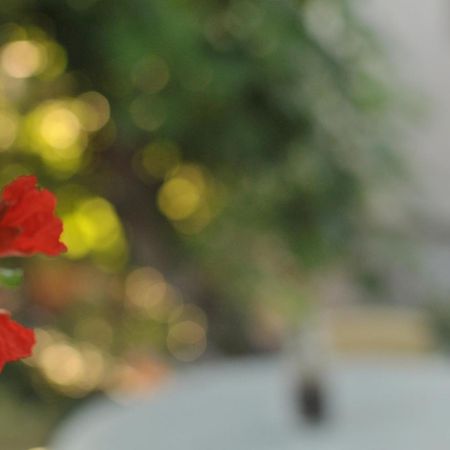 Apartments Casa Mia โกตอร์ ภายนอก รูปภาพ