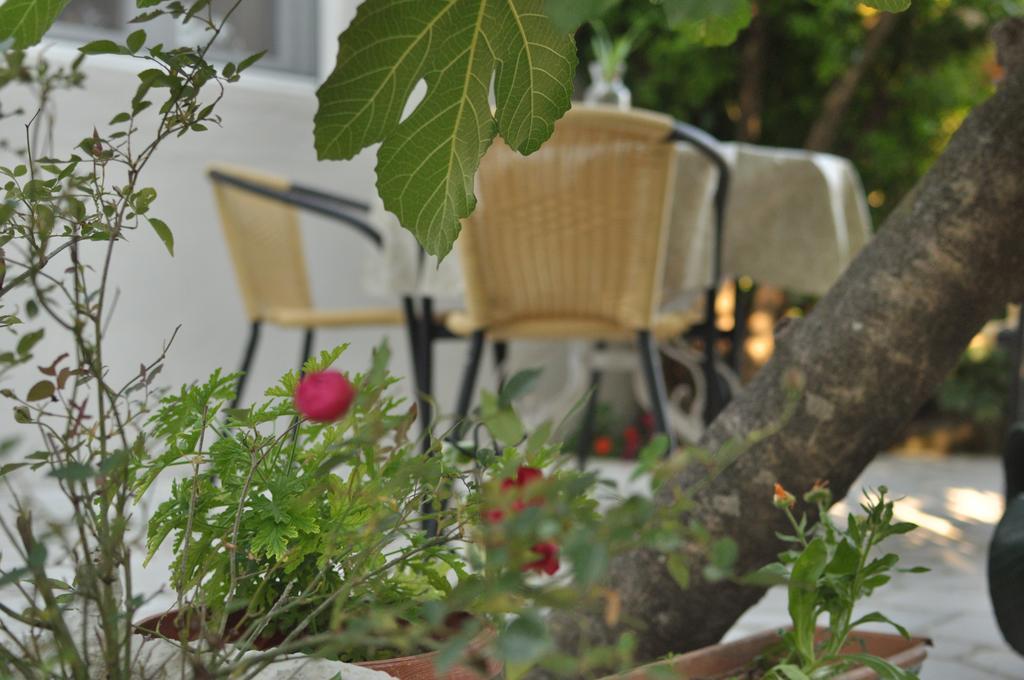 Apartments Casa Mia โกตอร์ ภายนอก รูปภาพ